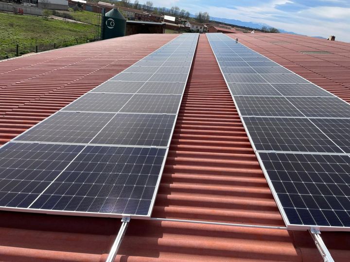 Placas solares en la cubierta de una explotación lechera
