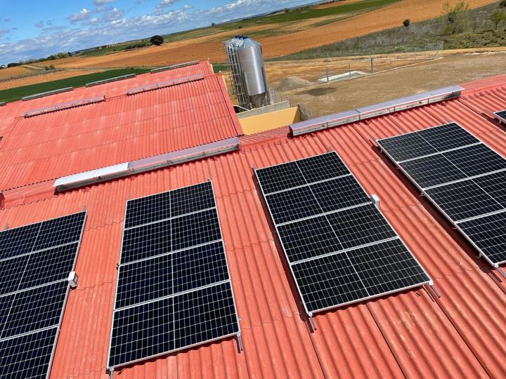 Placas solares en la cubierta de una explotación de porcino