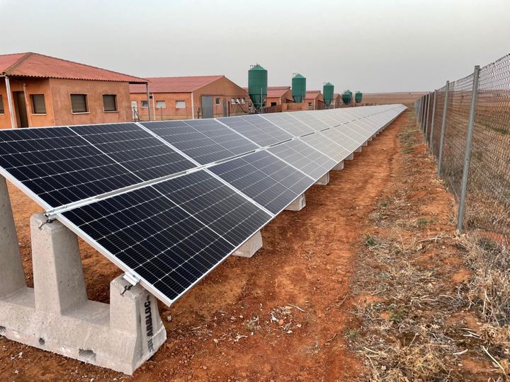 Placas fotovoltaicas sobre el terreno en una explotación porcina